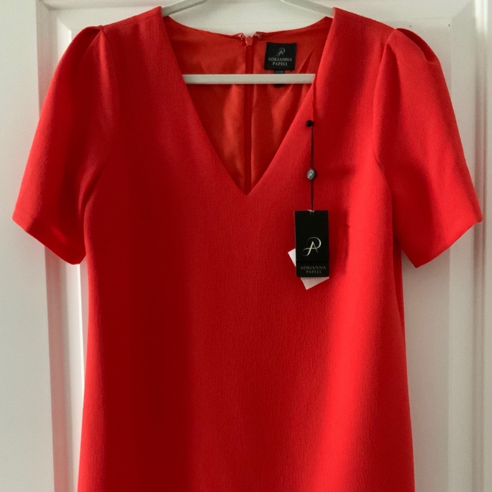 Adrianna Papell NWT Cameron Textured Shift Dress